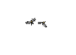 img1.gif